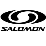 Salomon Group