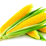 Corn