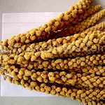 Millet