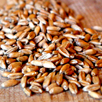 Spelt