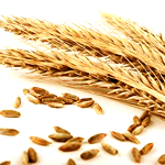 Whole wheat