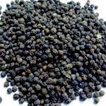 Black pepper