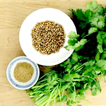 Cilantro/Coriander seeds