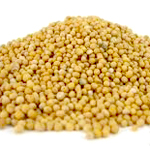 Mustard seeds