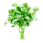 Parsley