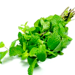 Peppermint