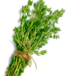 Thyme