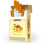 Camel Filter