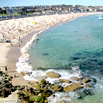Bondi Beach