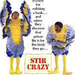 Stir Crazy