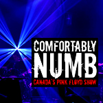 Comfortably Numb by Pink Floyd