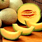 Cantaloupe