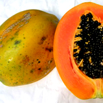 Papaya