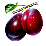 Plums
