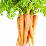 Carrots