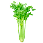 Celery