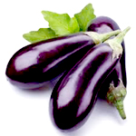 Eggplant