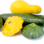Squash