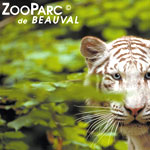 Beauval Zoo