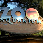 Madrid Zoo