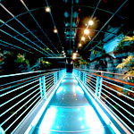 Aquarium of Genoa Italy