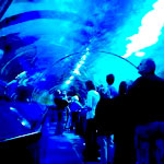 AQWA Perth Australia