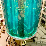 The AquaDom Berlin Germany