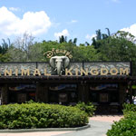 Disney's Animal Kingdom