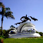 SeaWorld Orlando