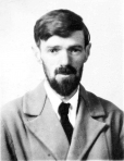 Dashiell Hammett